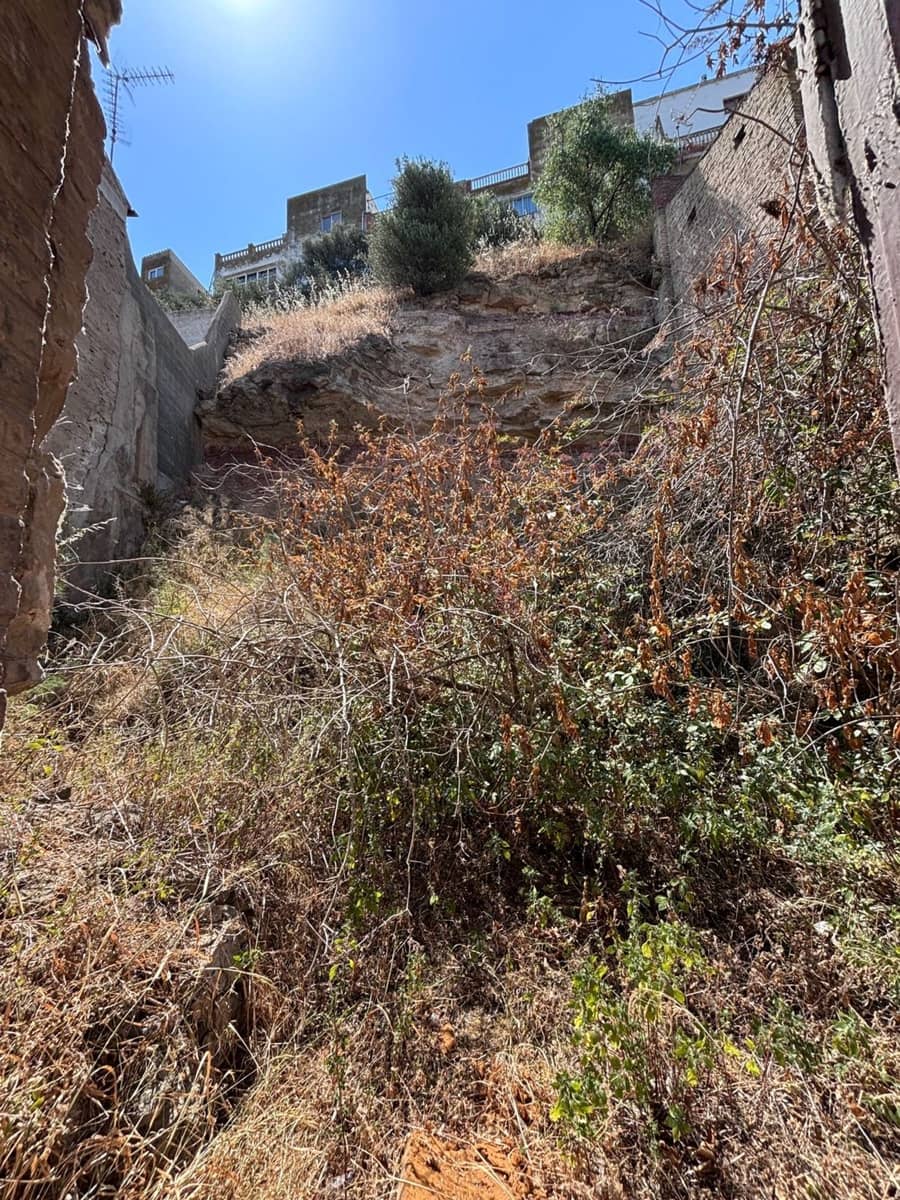 Undeveloped Land for sale in Flix - € 15,000 (Ref: 9956682)