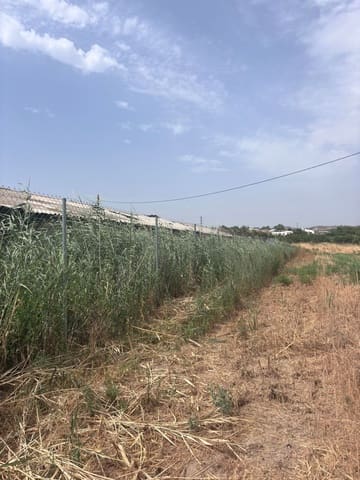 Grond te koop in Vinebre - € 30.000 (Ref: 9986270)