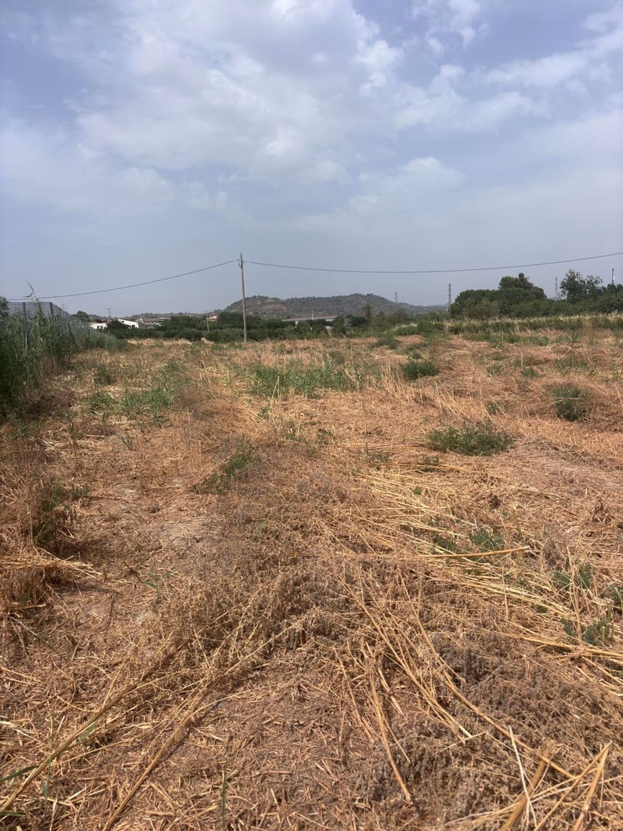 Grunde uden byggetilladelser til salg i Vinebre - € 30.000 (Ref: 9986270)