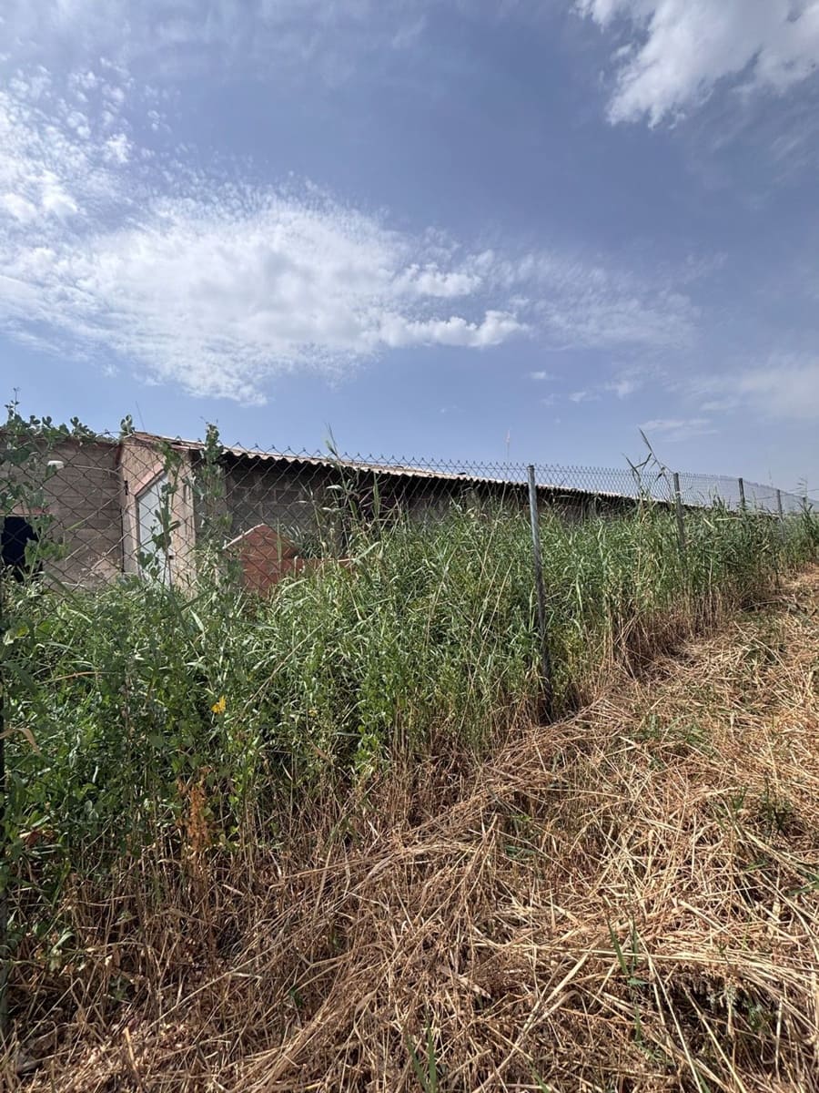 Grunde uden byggetilladelser til salg i Vinebre - € 30.000 (Ref: 9986270)