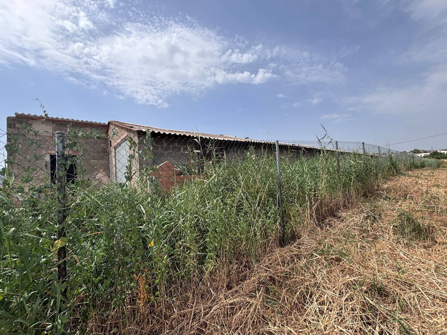 Grunde uden byggetilladelser til salg i Vinebre - € 30.000 (Ref: 9986270)