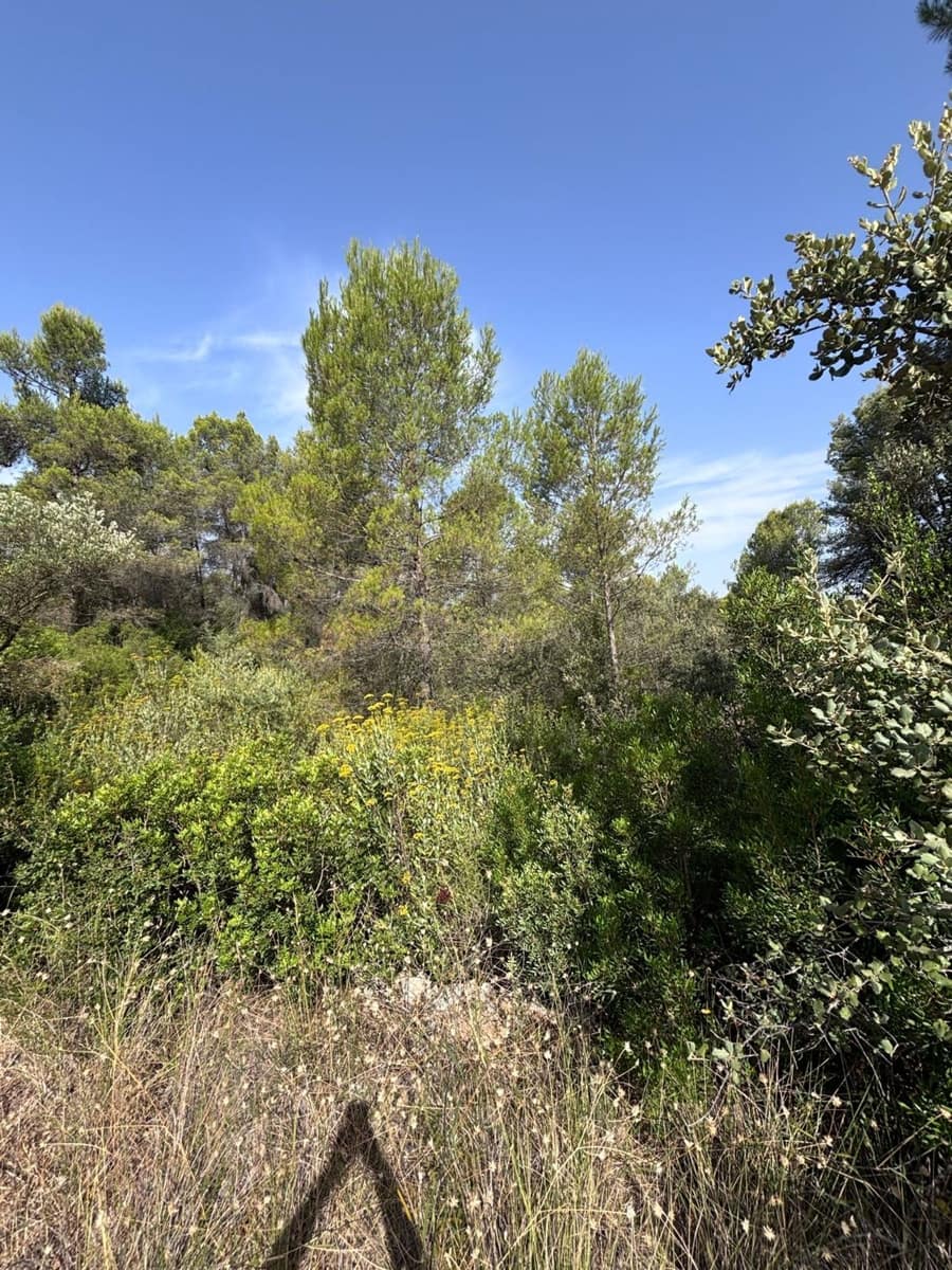 Mark till salu i Els Guiamets - 12 000 € (Ref: 9996555)