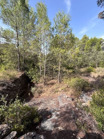 Mark till salu i Els Guiamets - 12 000 € (Ref: 9996555)