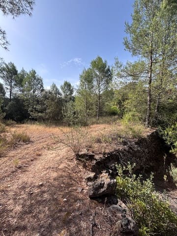 Mark till salu i Els Guiamets - 12 000 € (Ref: 9996555)