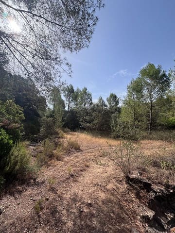 Mark till salu i Els Guiamets - 12 000 € (Ref: 9996555)