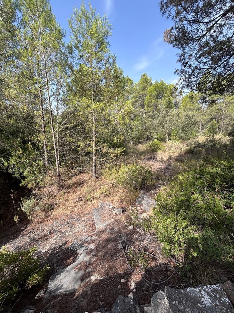Mark till salu i Els Guiamets - 12 000 € (Ref: 9996555)