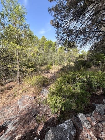 Mark till salu i Els Guiamets - 12 000 € (Ref: 9996555)