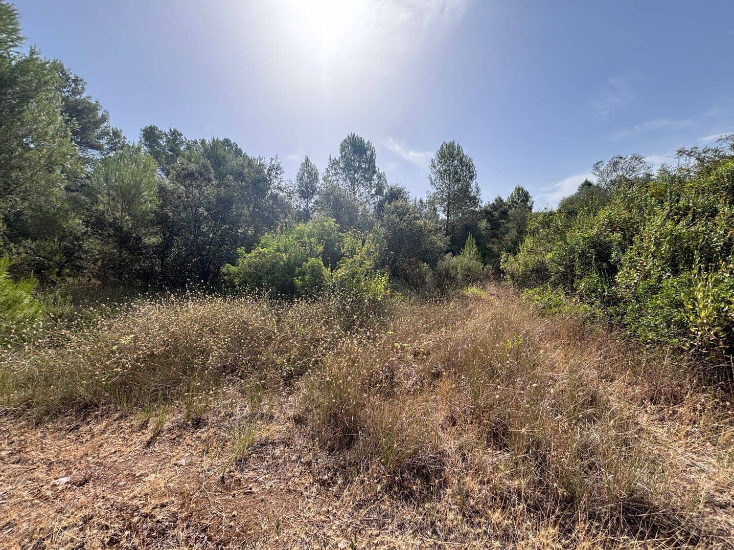 Mark till salu i Els Guiamets - 12 000 € (Ref: 9996555)