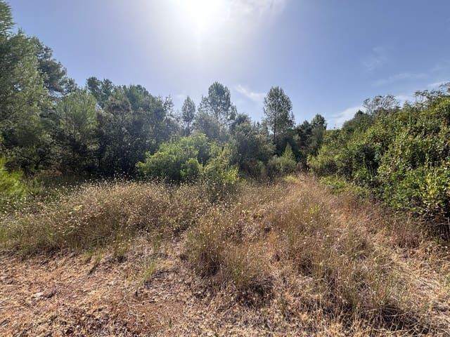 Mark till salu i Els Guiamets - 12 000 € (Ref: 9996555)
