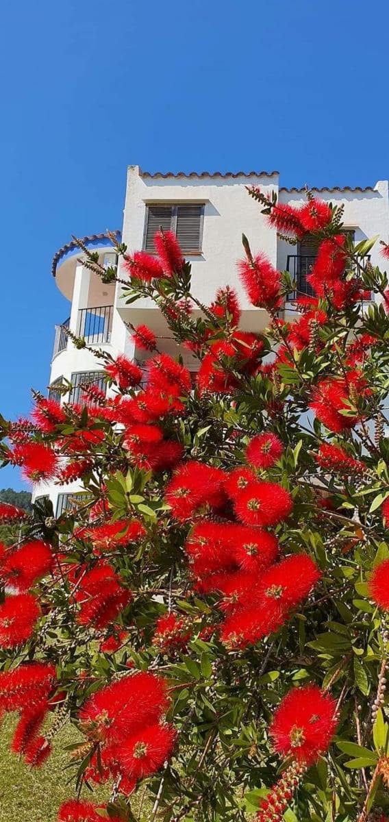 2 chambre Appartement à vendre à Peniscola avec piscine - 135 000 € (Ref: 9355726)