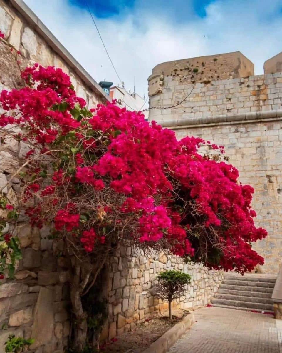 2 slaapkamer Flat te koop in Peniscola met zwembad - € 128.000 (Ref: 9355726)