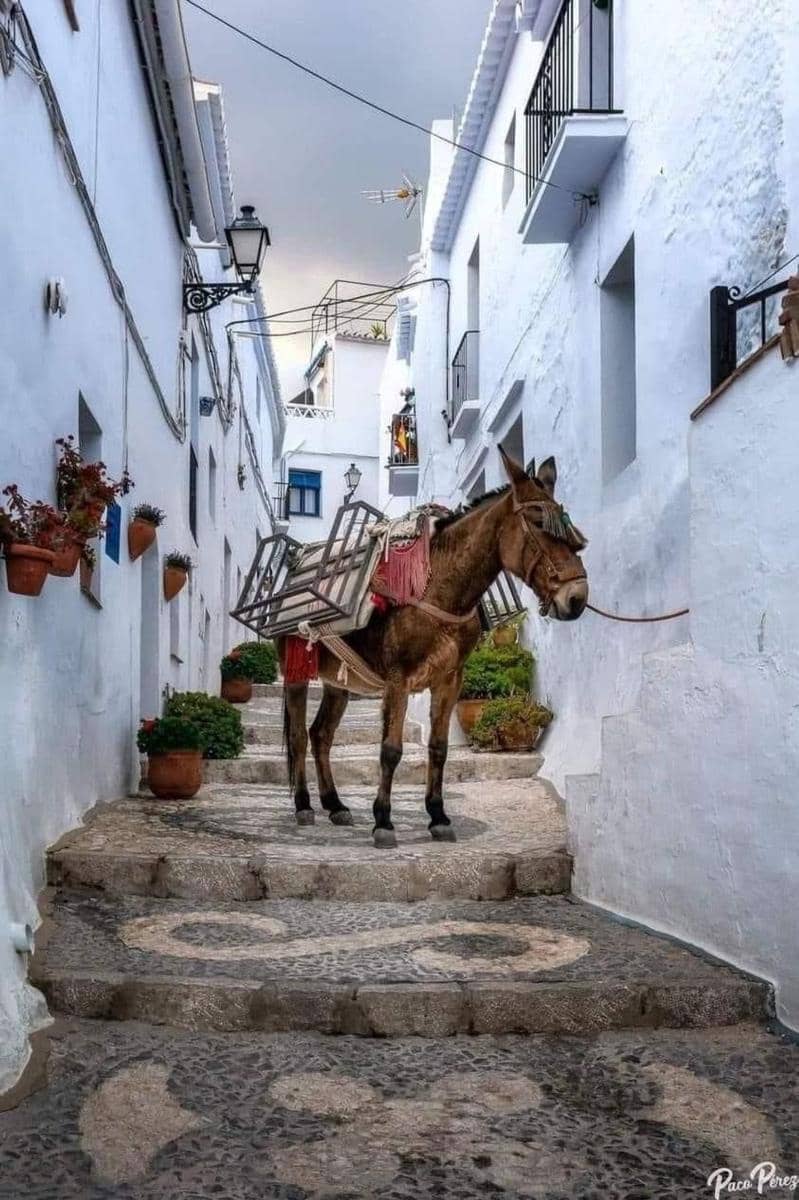 2 slaapkamer Flat te koop in Peniscola met zwembad - € 128.000 (Ref: 9355726)