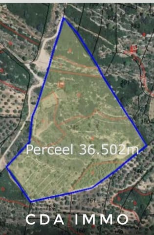 Byggegrund til salg i Tírig - € 52.000 (Ref: 9497001)