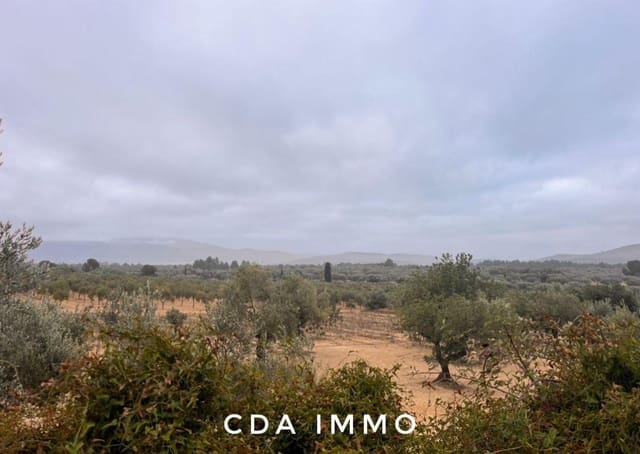 Byggegrund til salg i Tírig - € 52.000 (Ref: 9497001)