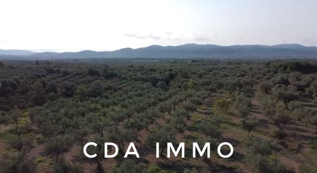 Byggegrund til salg i Sant Mateu - € 35.000 (Ref: 9497002)