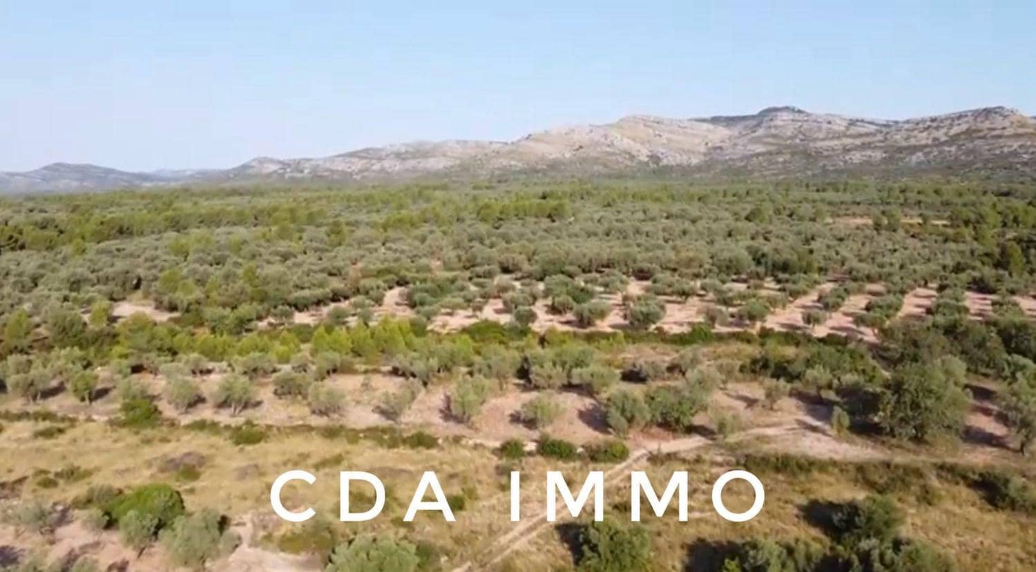 Byggegrund til salg i Sant Mateu - € 35.000 (Ref: 9497002)