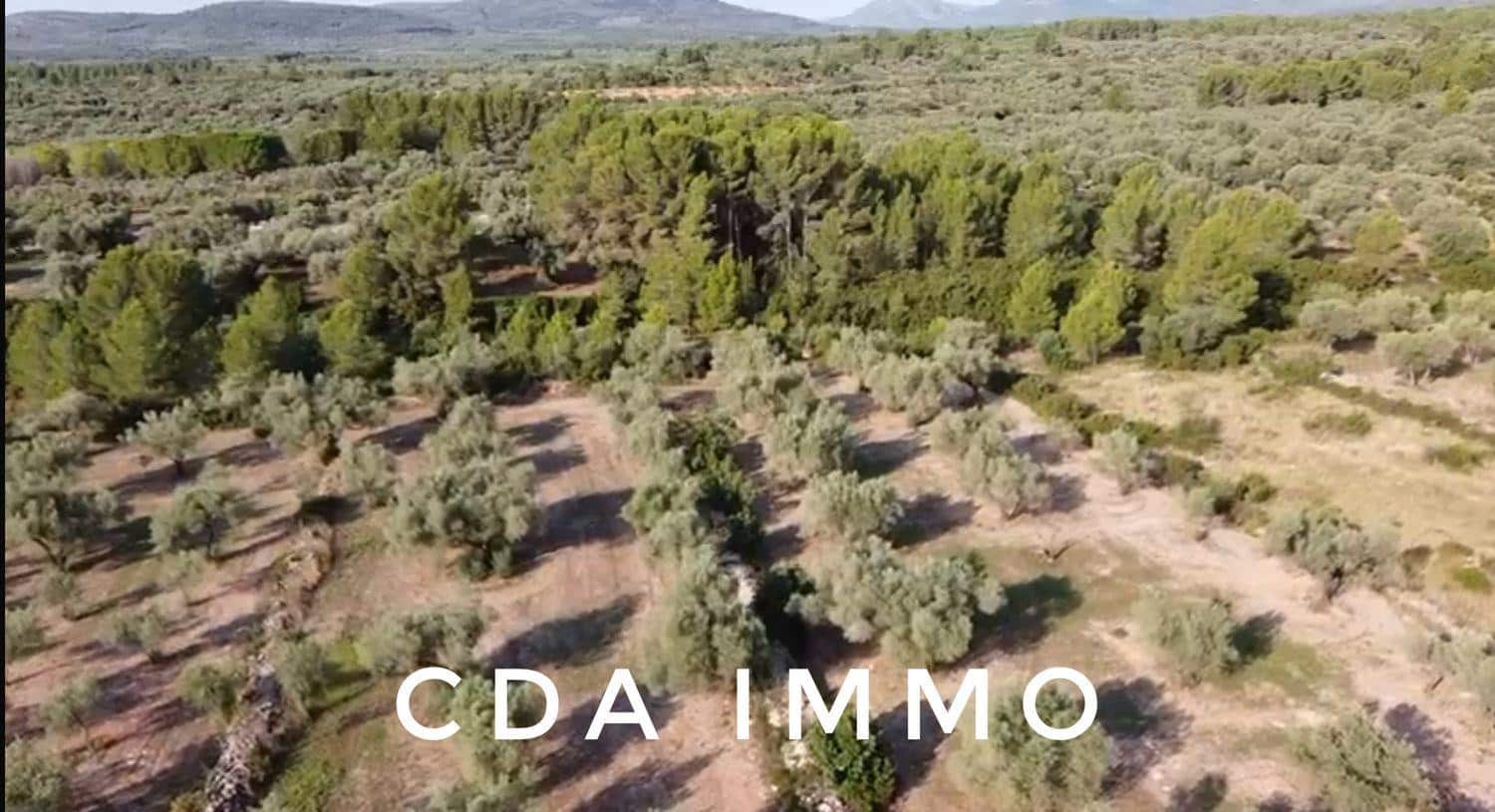 Byggegrund til salg i Sant Mateu - € 35.000 (Ref: 9497002)