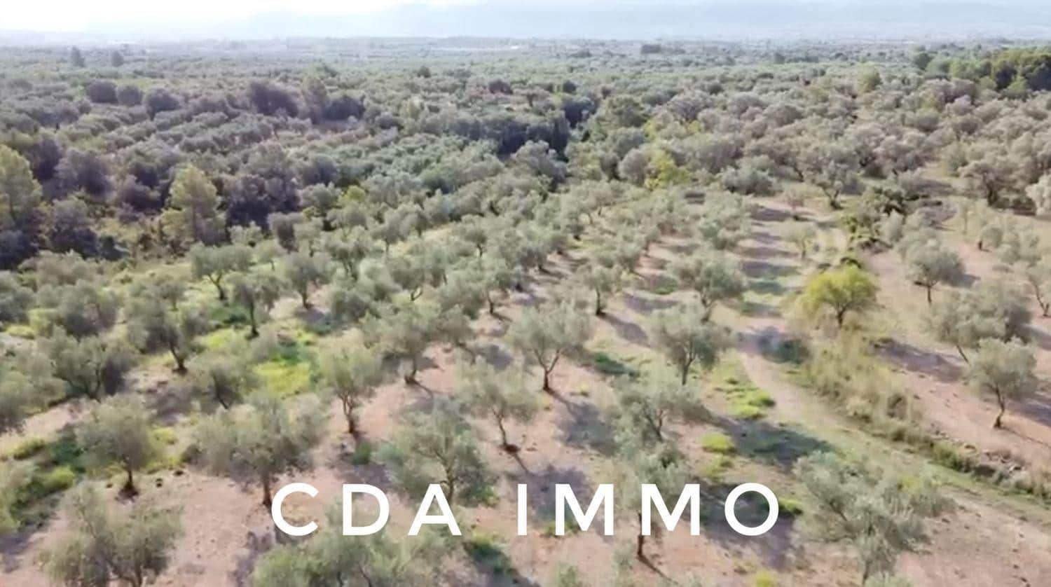 Byggegrund til salg i Sant Mateu - € 35.000 (Ref: 9497002)