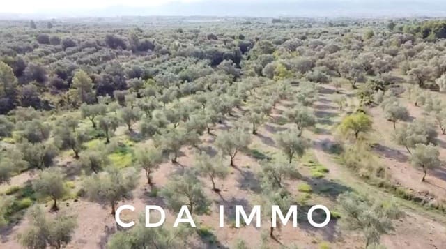 Byggegrund til salg i Sant Mateu - € 35.000 (Ref: 9497002)