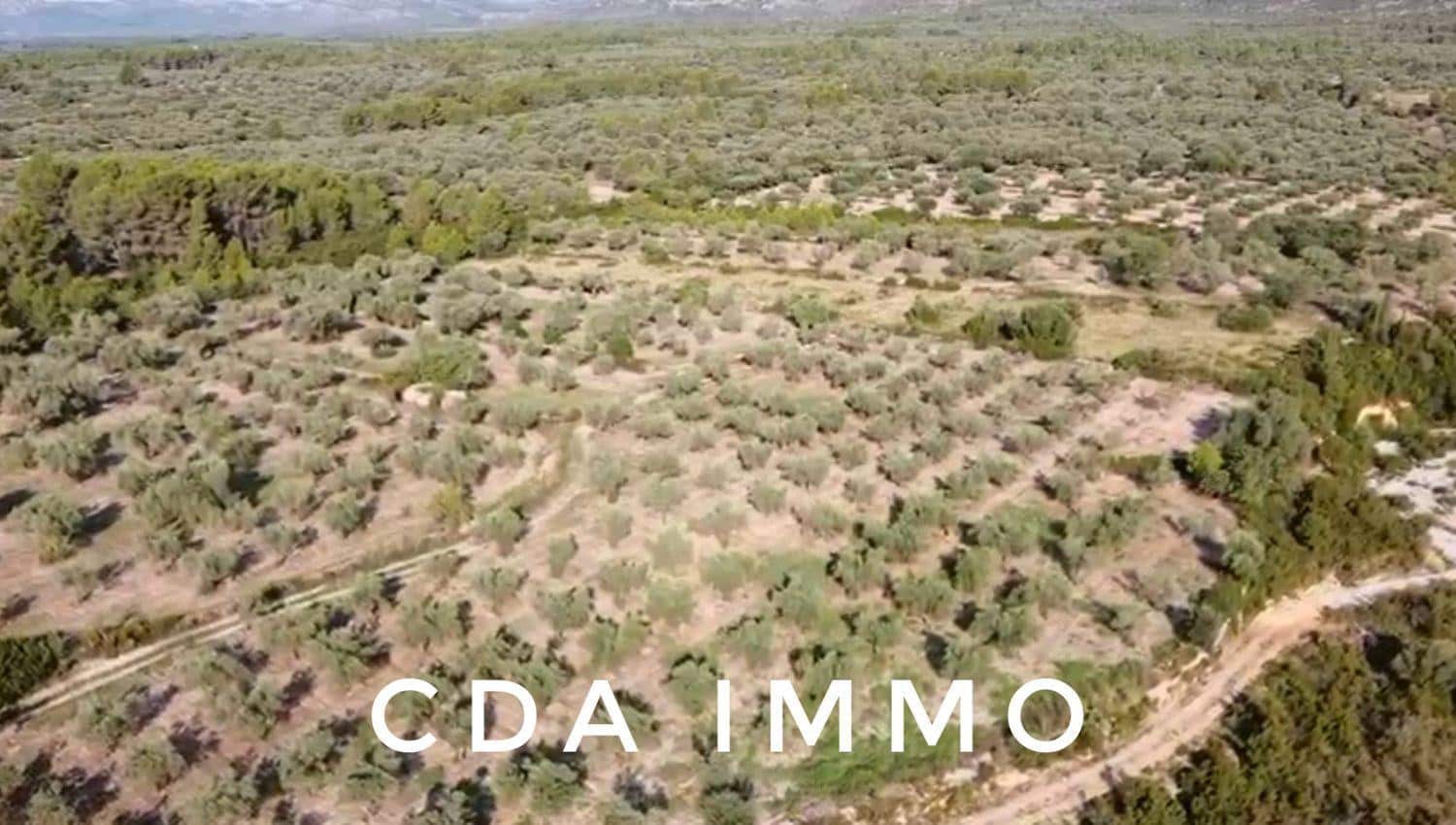 Byggegrund til salg i Sant Mateu - € 35.000 (Ref: 9497002)