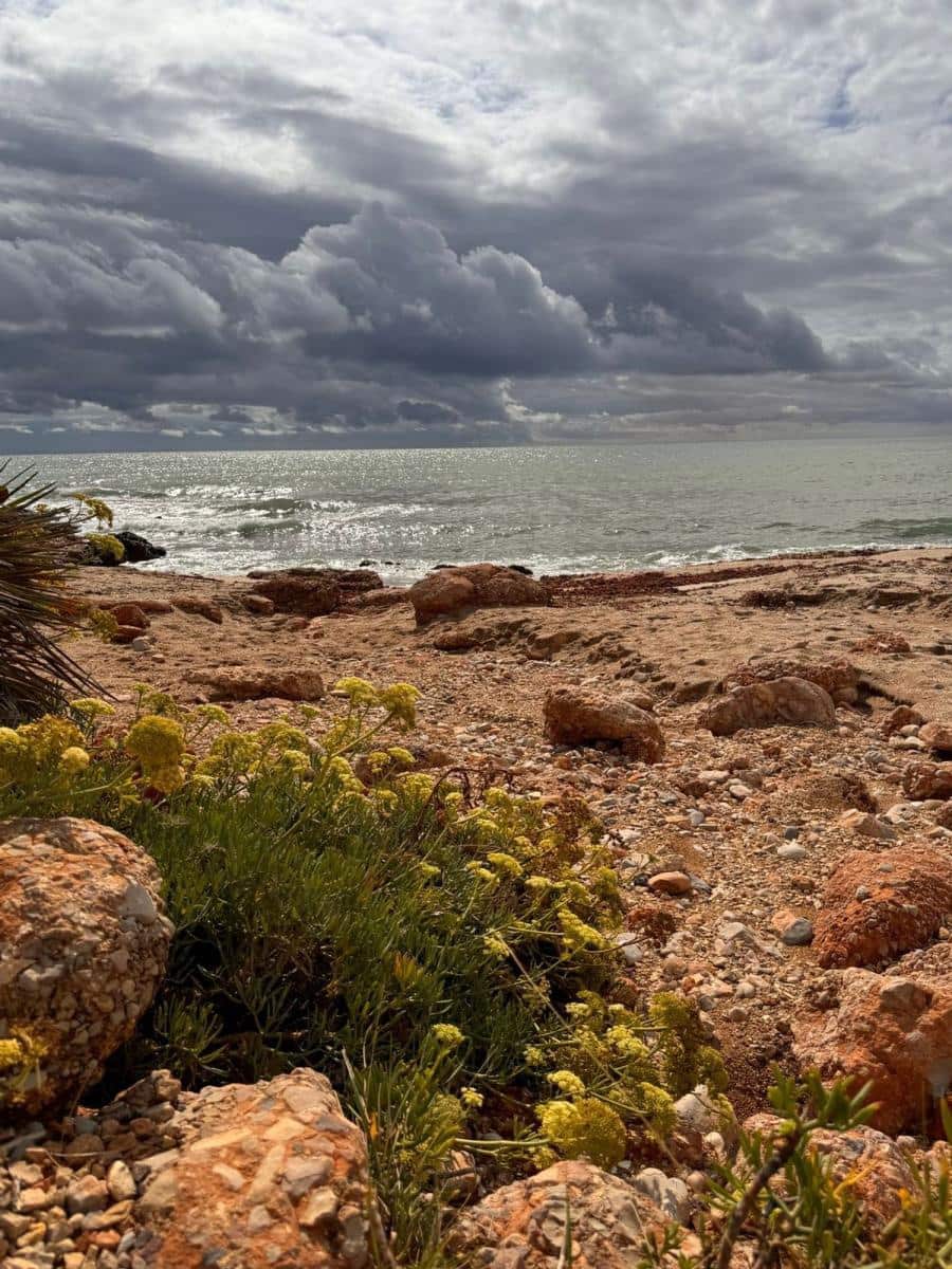 2 chambre Appartement à vendre à Peniscola avec piscine - 216 000 € (Ref: 9540958)