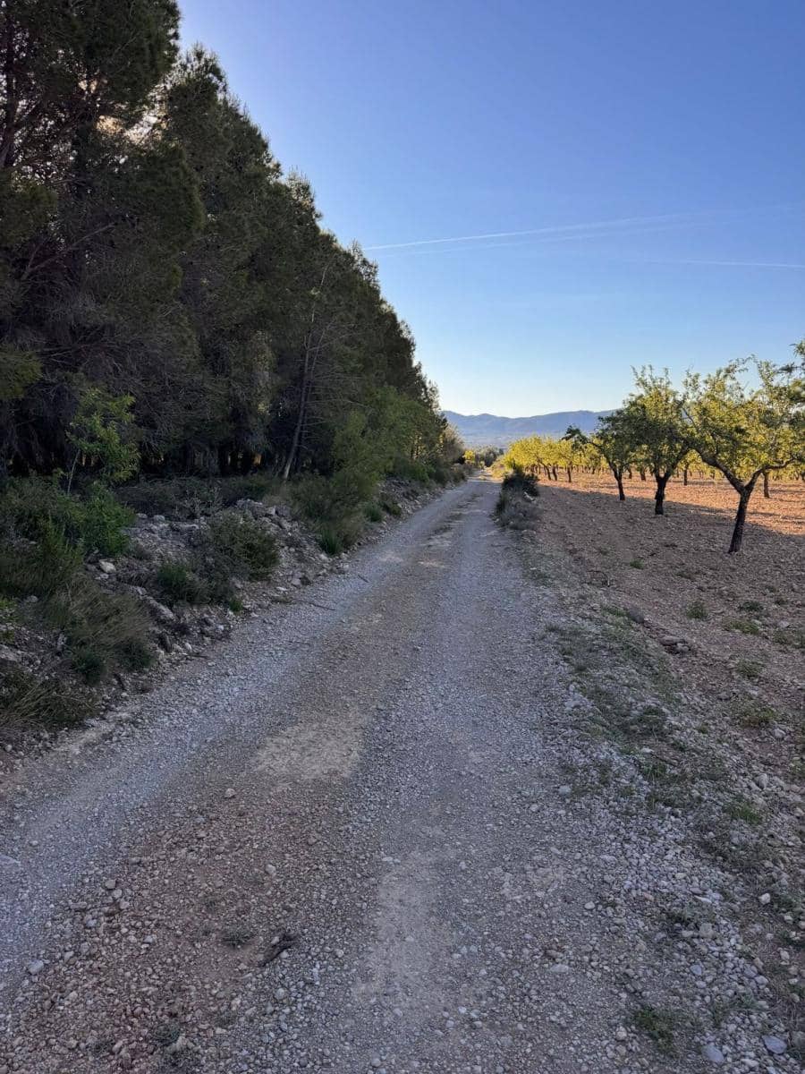 Byggetomt til salgs i Sant Mateu - € 14 000 (Ref: 9751835)