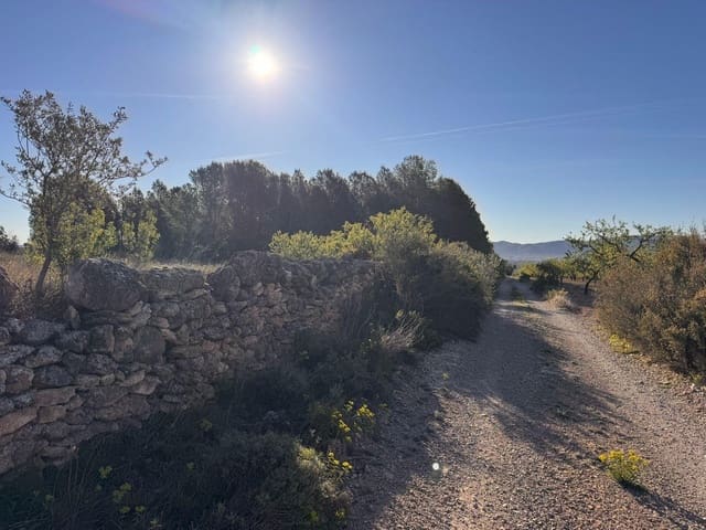 Byggegrund til salg i Sant Mateu - € 14.000 (Ref: 9751835)