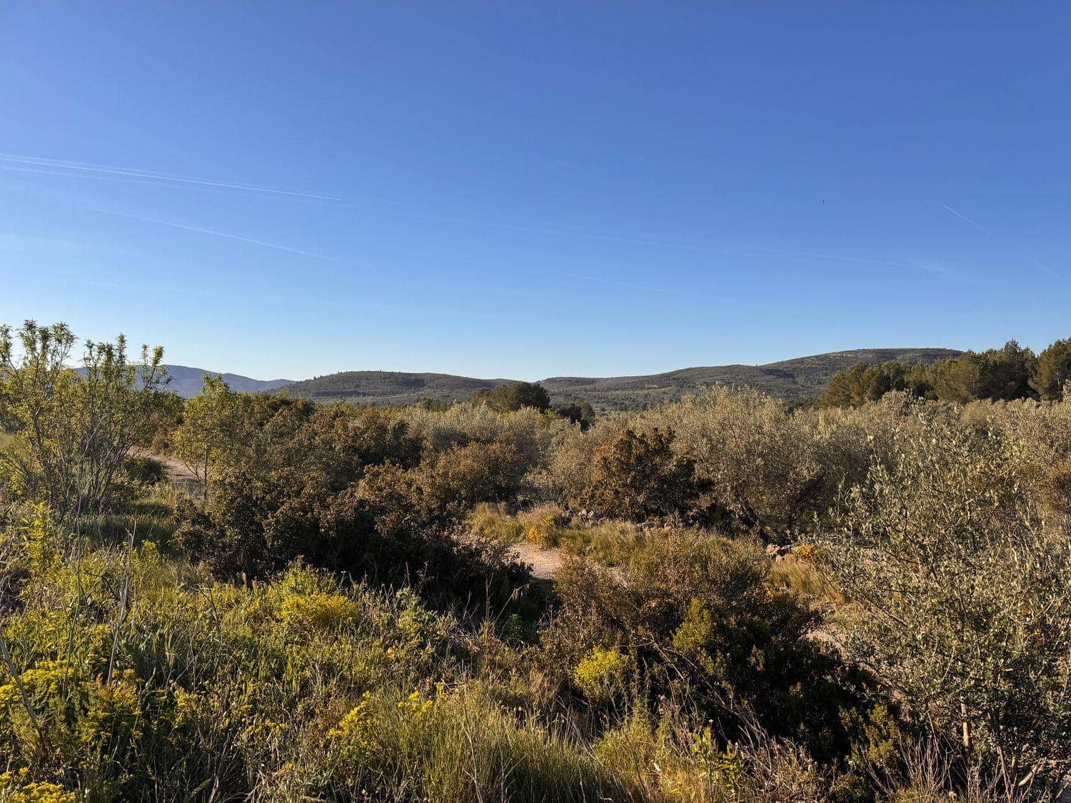 Byggetomt til salgs i Sant Mateu - € 14 000 (Ref: 9751835)