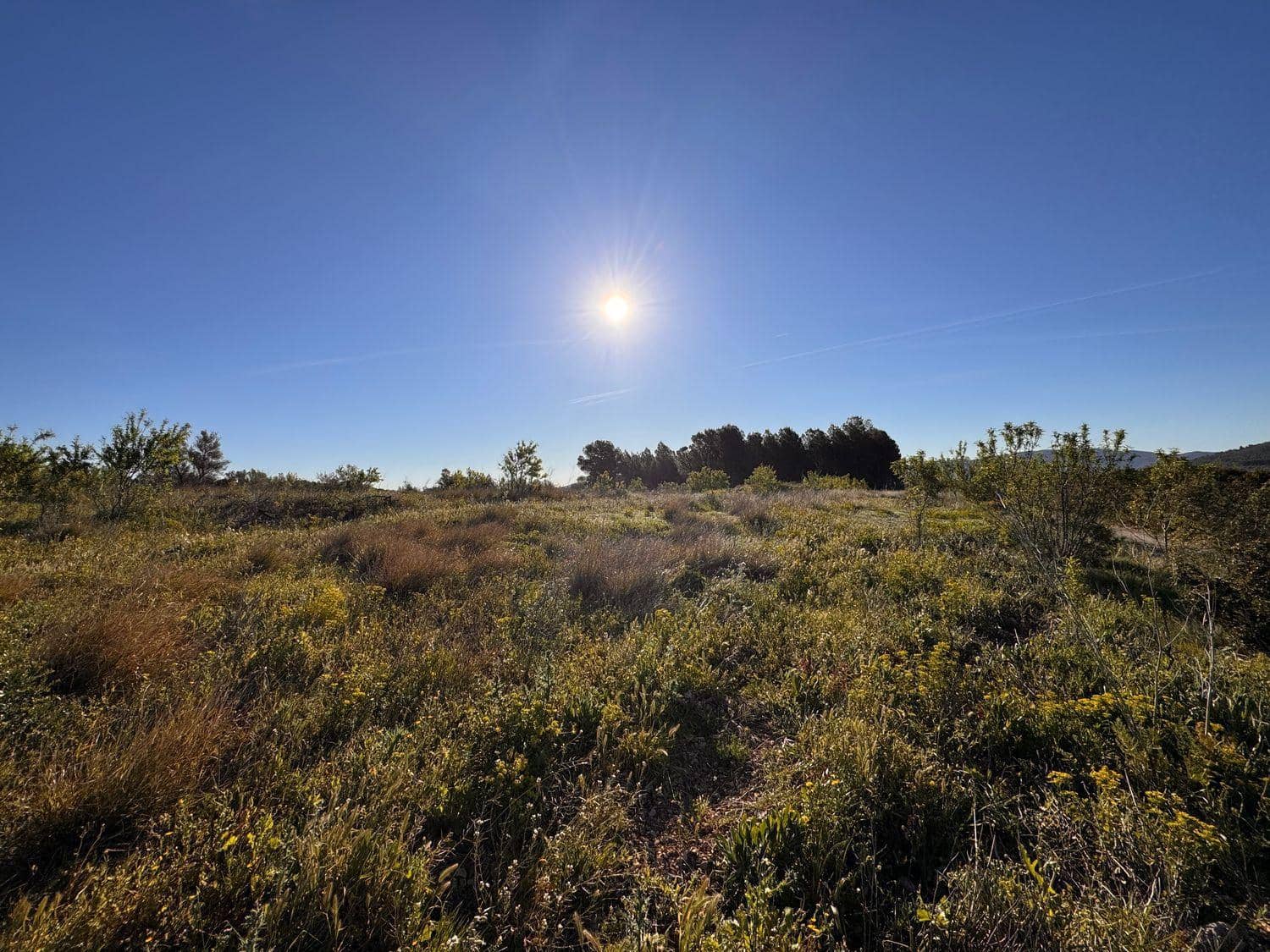 Byggetomt til salgs i Sant Mateu - € 14 000 (Ref: 9751835)