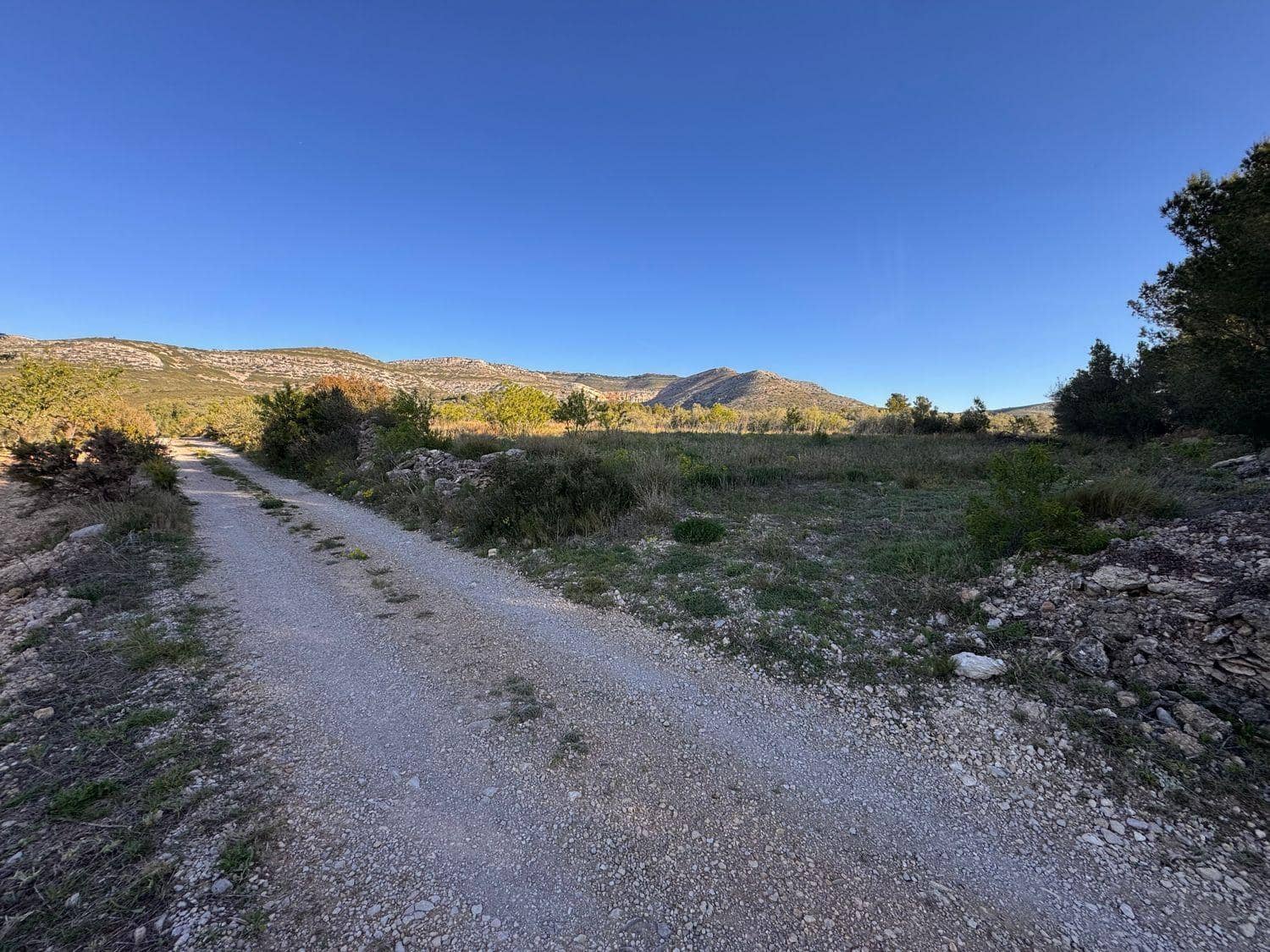 Byggetomt til salgs i Sant Mateu - € 14 000 (Ref: 9751835)