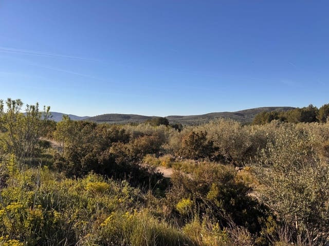 Byggegrund til salg i Sant Mateu - € 14.000 (Ref: 9751835)