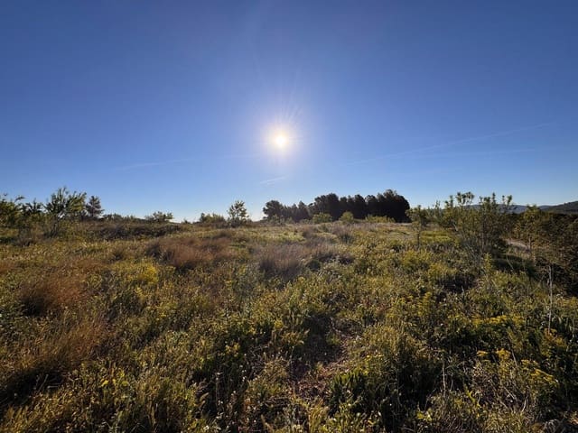 Byggegrund til salg i Sant Mateu - € 14.000 (Ref: 9751835)