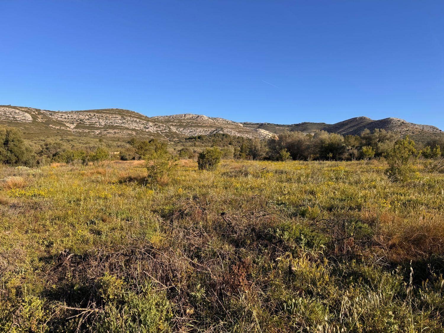 Byggetomt til salgs i Sant Mateu - € 14 000 (Ref: 9751835)