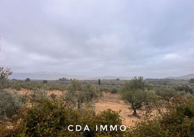 Działka budowlana na sprzedaż w Sant Mateu - 24 000 € (Ref: 9761822)