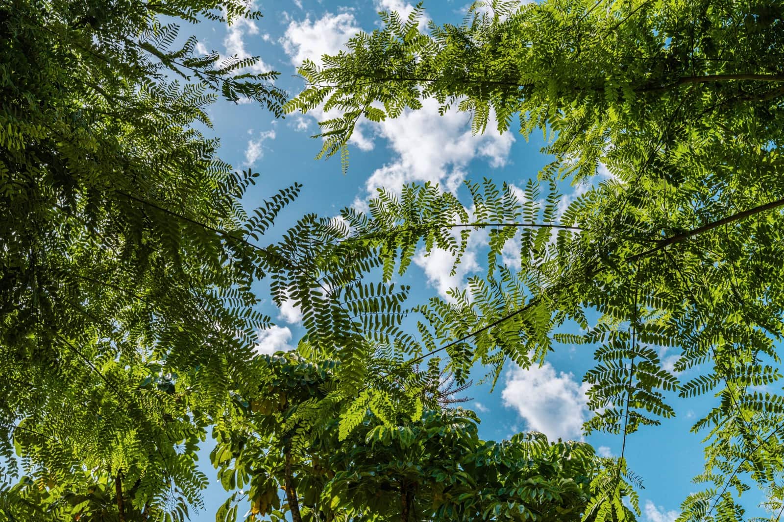 3 soveværelse Penthouse til salg i Marbella med swimmingpool garage - € 2.250.000 (Ref: 9185618)