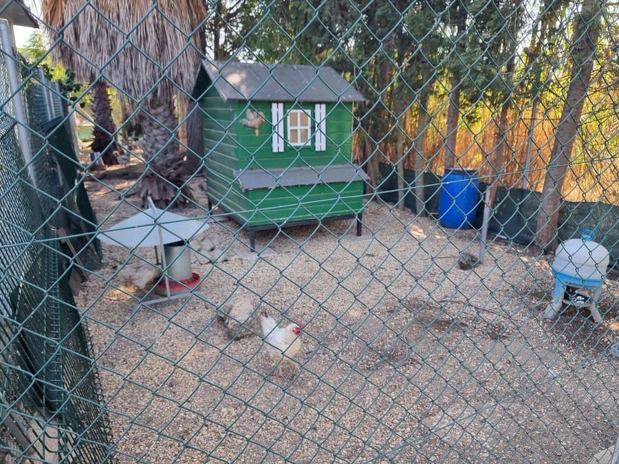 3 soveværelse Finca/Landehus til salg i Lucena del Puerto med swimmingpool garage - € 250.000 (Ref: 10051890)