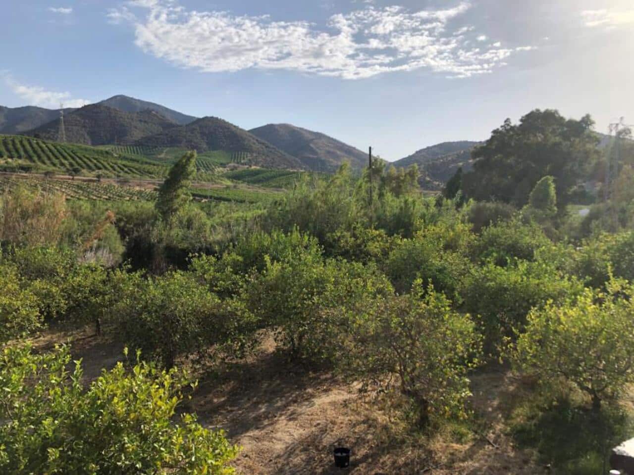 5 soverom Villa til salgs i Alora med svømmebasseng garasje - € 400 000 (Ref: 8427988)