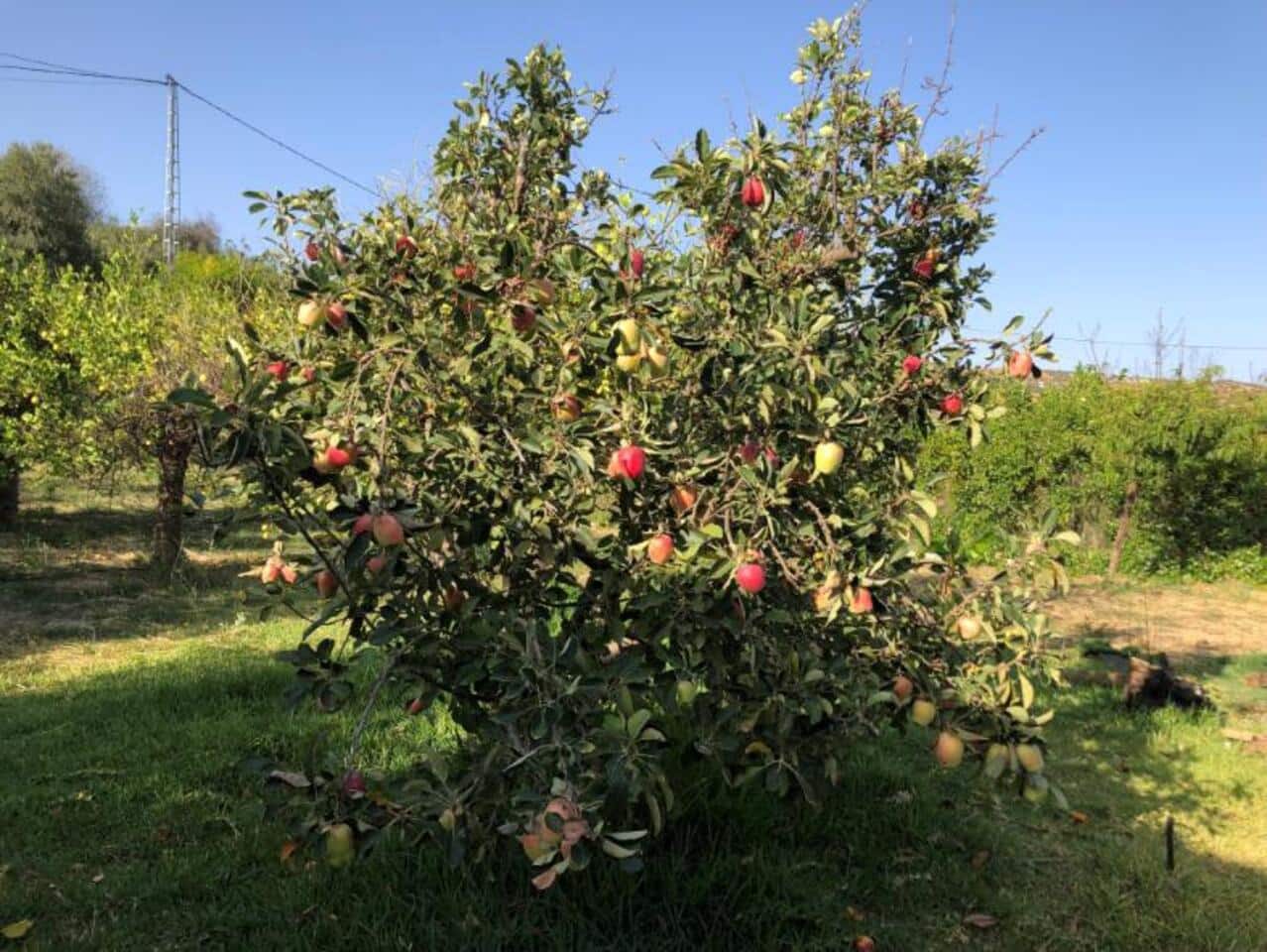 5 soverom Villa til salgs i Alora med svømmebasseng garasje - € 400 000 (Ref: 8427988)