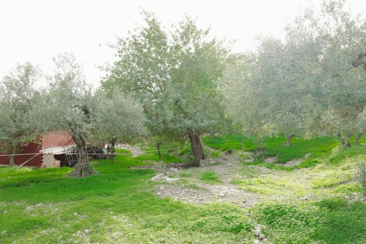 5 bedroom Finca/Country House for sale in Alora with pool garage - € 695,000 (Ref: 8556074)