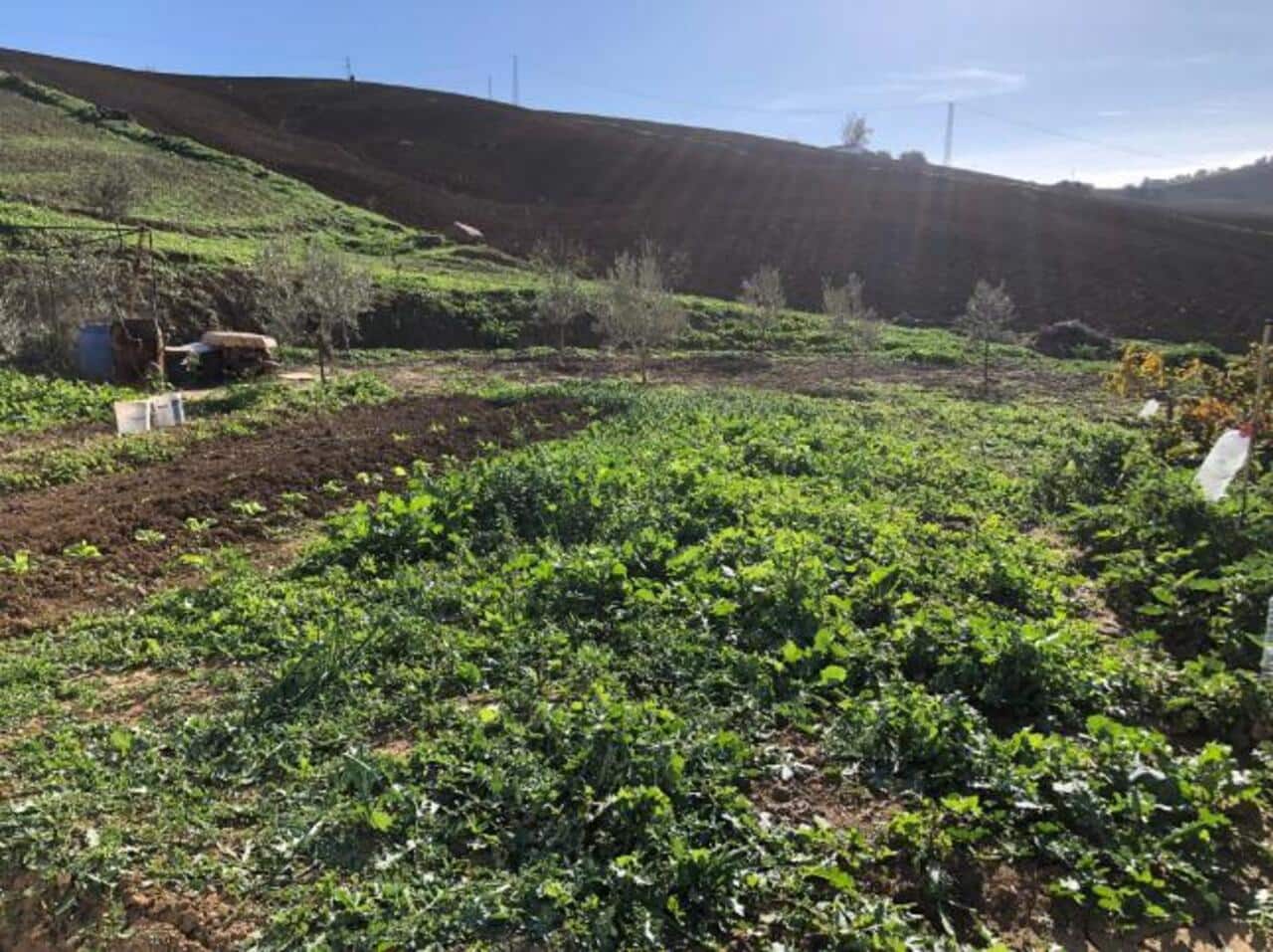 3 soverom Villa til salgs i Alora med garasje - € 370 000 (Ref: 8705755)