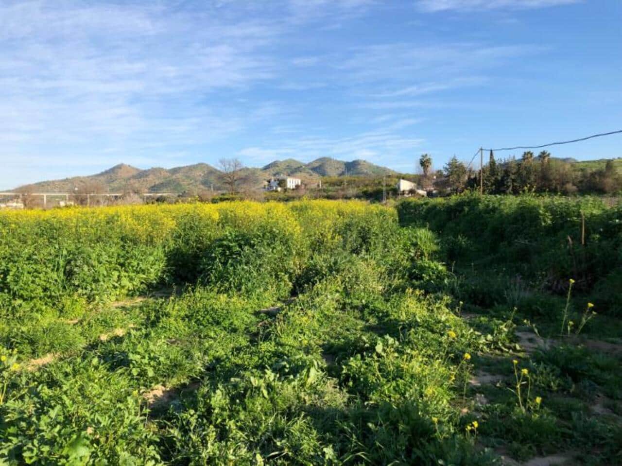 Finca/Herregård til salgs i Alora - € 90 000 (Ref: 8837435)