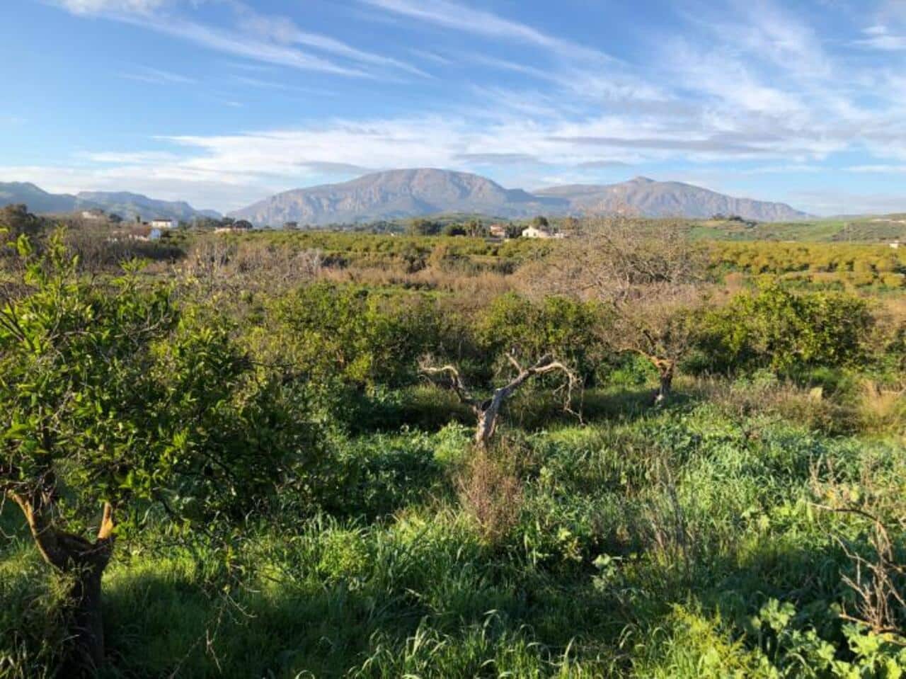 Finca/Herregård til salgs i Alora - € 90 000 (Ref: 8837435)