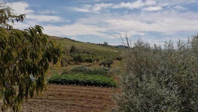 Finca/Herregård til salgs i Alora - € 220 000 (Ref: 8837438)