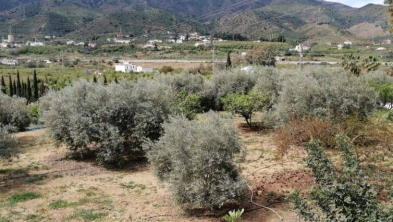 Finca/Herregård til salgs i Alora - € 220 000 (Ref: 8837438)