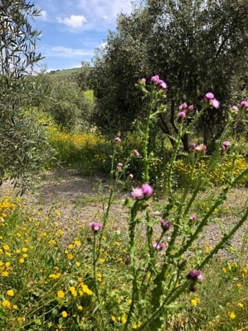 2 soverom Finca/Herregård til salgs i Alora - € 142 000 (Ref: 8954730)