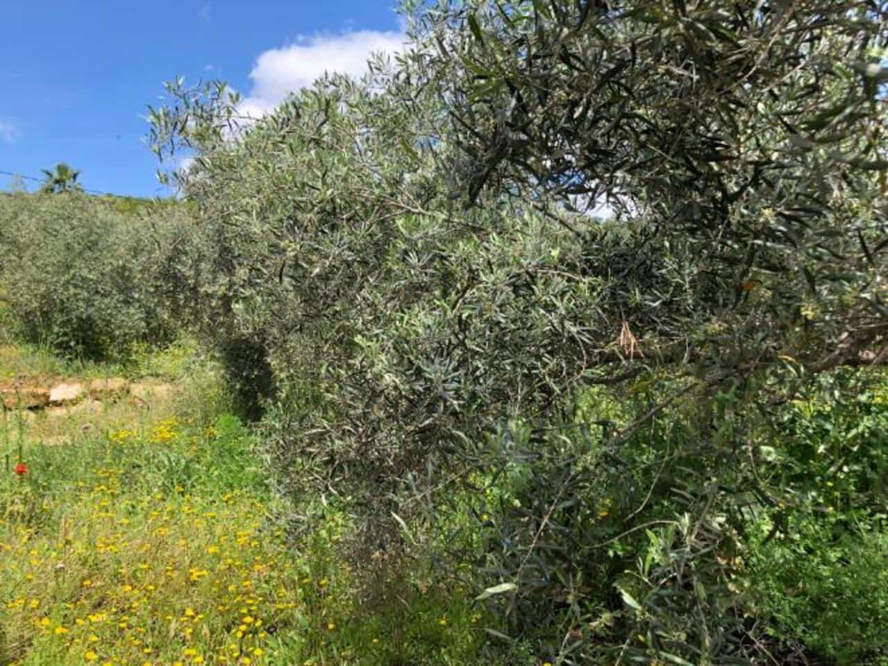 2 soverom Finca/Herregård til salgs i Alora - € 142 000 (Ref: 8954730)