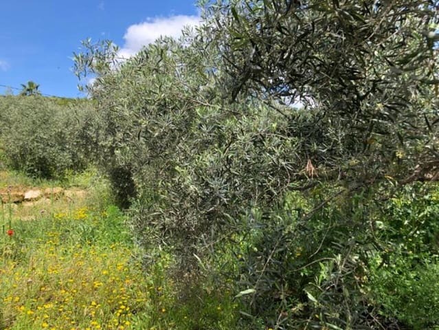 2 soverom Finca/Herregård til salgs i Alora - € 142 000 (Ref: 8954730)