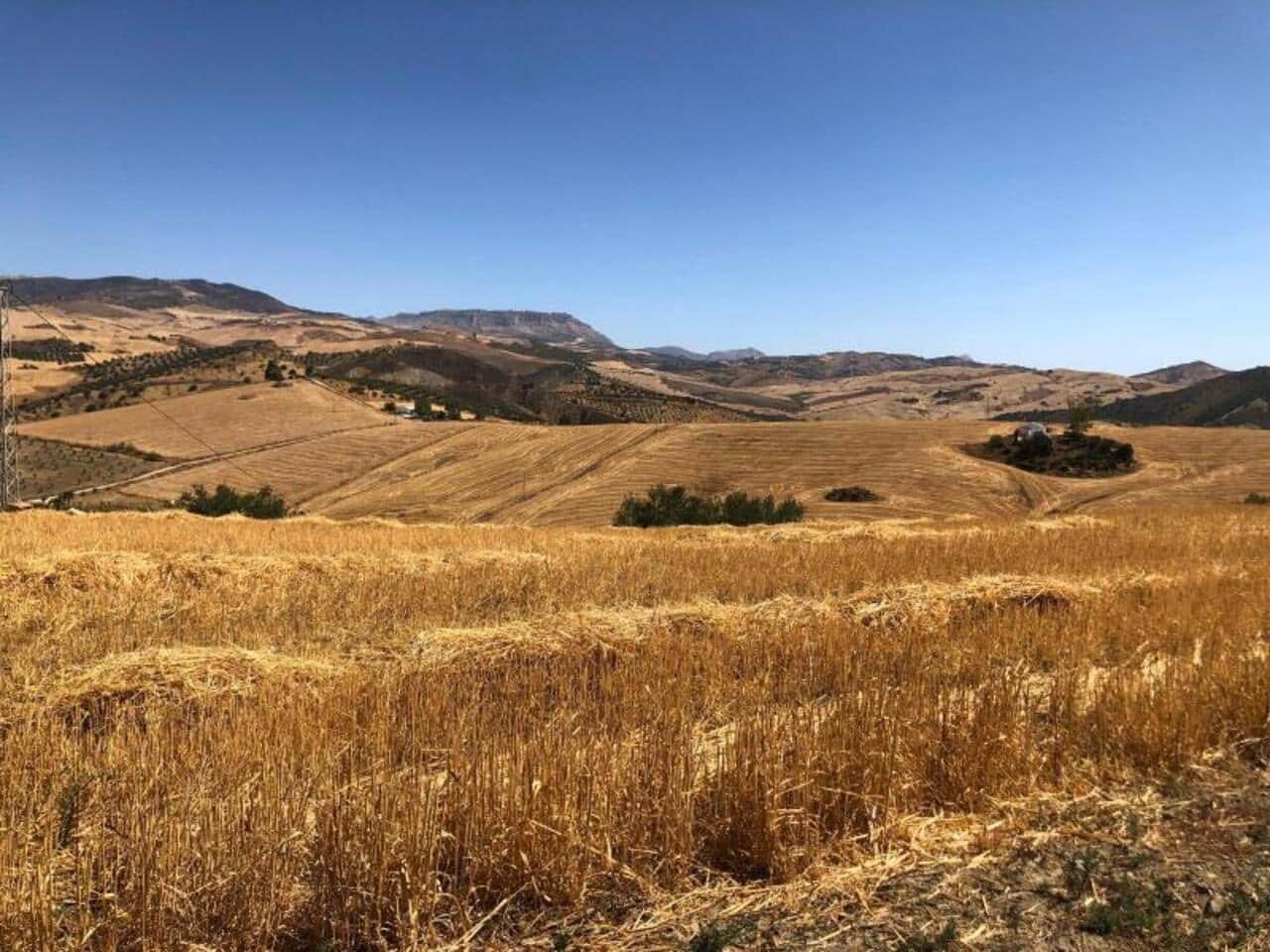 1 soveværelse Finca/Landehus til salg i Alora med garage - € 139.900 (Ref: 9231791)