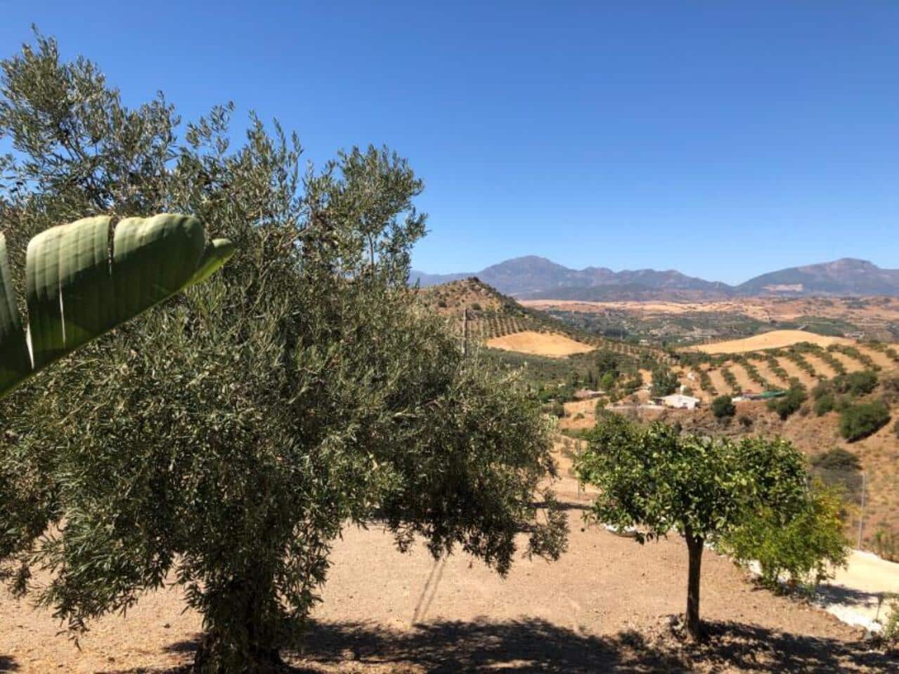 2 soveværelse Finca/Landehus til salg i Pizarra med garage - € 280.000 (Ref: 9242406)