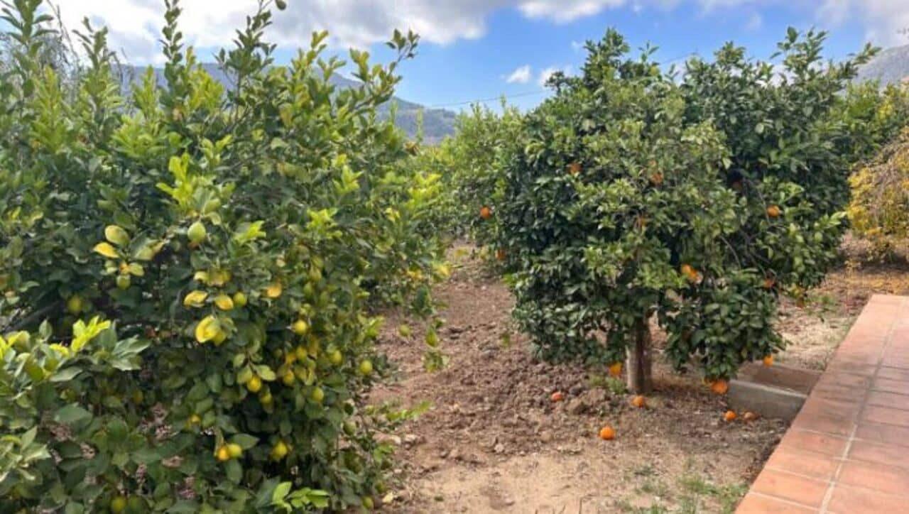 2 makuuhuone Maalaistalo myytävänä paikassa Alora mukana uima-altaan 
autotalli - 210 000 € (Ref: 9444867)